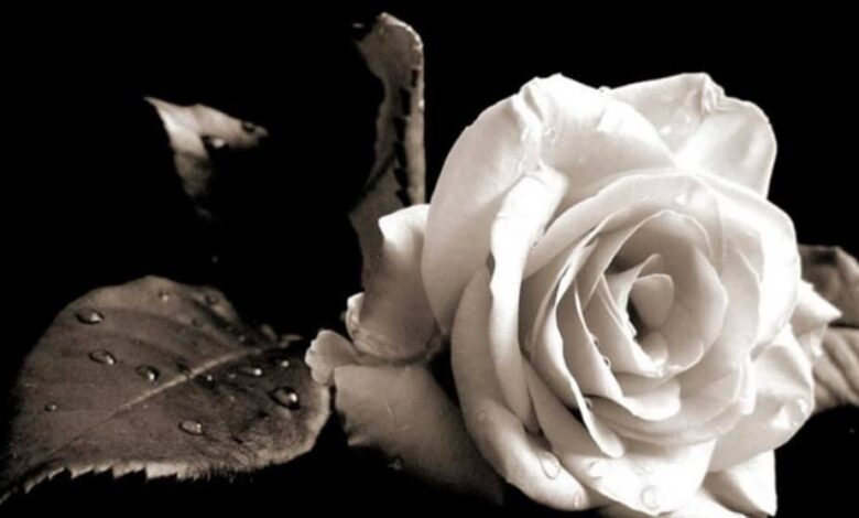 284974317 10222303250675354 5928464215460634291 n