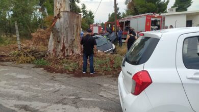 287820769 729600108094003 1596256997860394944 n 758x569