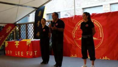 Belts clf 24 6 22 fougaro 2 768x576.jpg