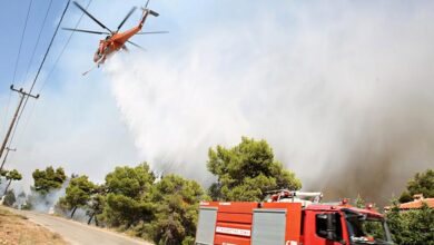 1484068 fotia 070821 930