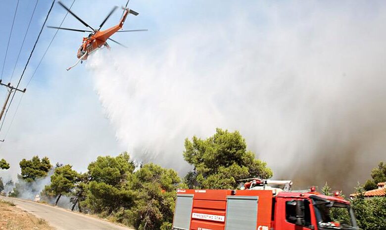 1484068 fotia 070821 930