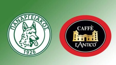 291916472 5380729805352683 9211252665372464175 n 696x403.jpg