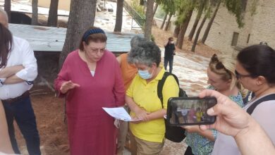 294540840 3146208192356564 5690498431066201802 n