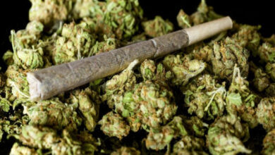 645529 1556047824.jpg