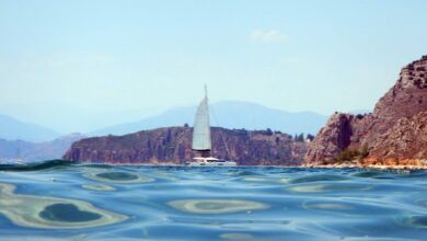 IMG 20220729 103825.jpg