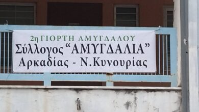 299733606 620721932999158 3852724166367742616 n