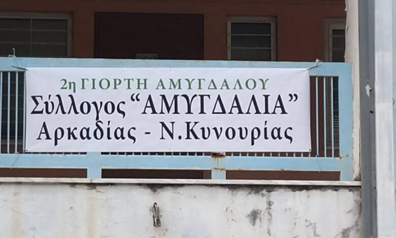 299733606 620721932999158 3852724166367742616 n