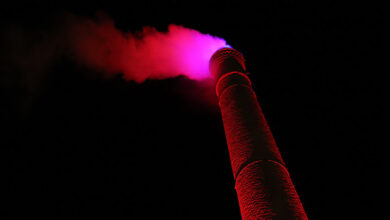 FOUGARO JAZZ FESTIVAL.jpeg