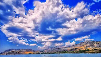 IMG 20220803 093134.jpg