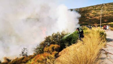 IMG 20220811 113011.jpg