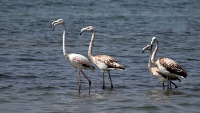 IMG 20220821 090210.jpg