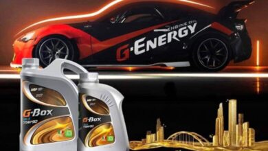 306018442 479747387119911 6748273240302043962 n 780x470