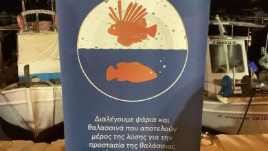 307282463 548865707010419 5084433393601790117 n