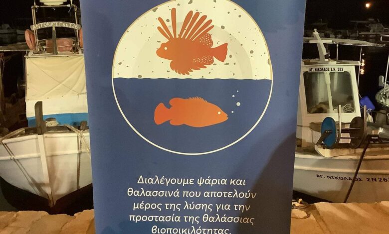 307282463 548865707010419 5084433393601790117 n