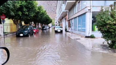 308021137 629351108868203 1707917916755317658 n 768x434