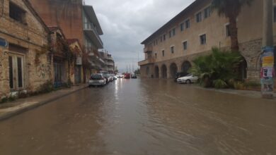 308046735 501648481351475 4971333177416432309 n