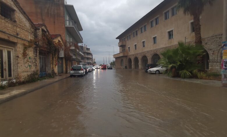 308046735 501648481351475 4971333177416432309 n