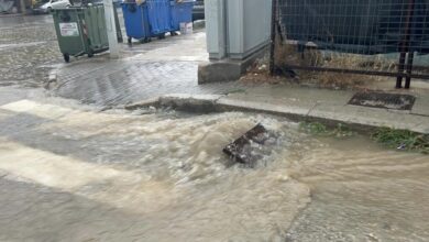 308199794 10220772048161999 2806111368151953098 n 1024x576