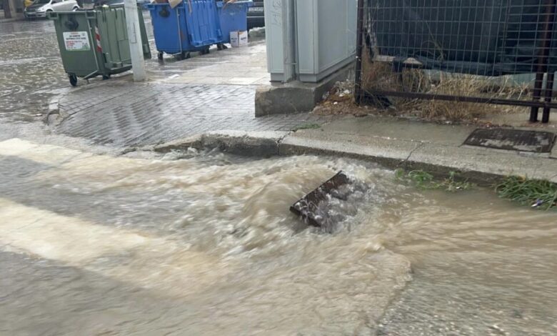 308199794 10220772048161999 2806111368151953098 n 1024x576