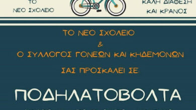 310449348 443232094571504 4179375864000366930 n.jpg