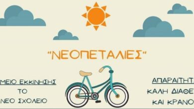 310449348 443232094571504 4179375864000366930 n