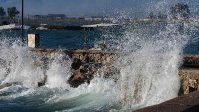 IMG 20221016 132843.jpg