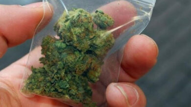 Kannavi xasis mikroposotita.jpg