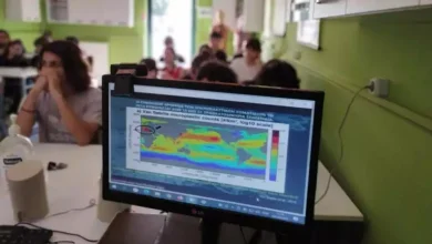 Microplast1 768x438.webp