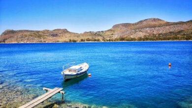 W16 82043thalassa.jpg