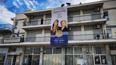 IMG 20221110 113107.jpg