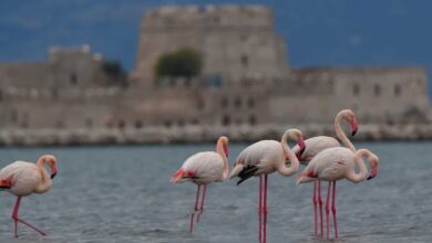 IMG 20221113 085535.jpg