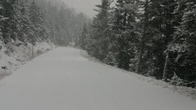 Ceb4c4d85c959eaefcc6a7ac5b1aa8cb XL 1.jpg