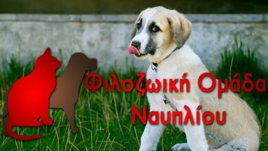 Filozwiki omada nafpliou dog logo 1.jpg