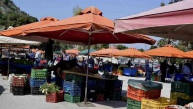 Laiki dsc0017 large 1 0 2 0 0