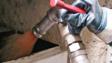 Petrelaio thermansis main01