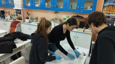 319541695 9298377386854670 8115425131418004185 n