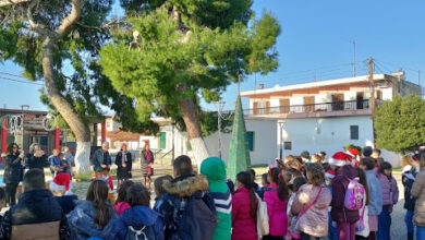 321464020 566666915279026 744277675328604841 n