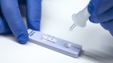 Thumbnail rapidtest2