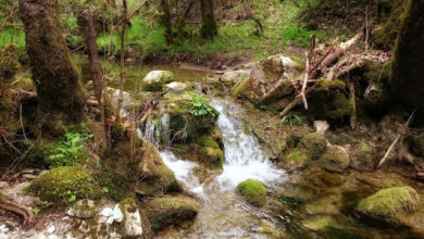 319215420 748947113492349 7481629165137251586 n