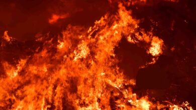 IMG 20230104 094447 (1)