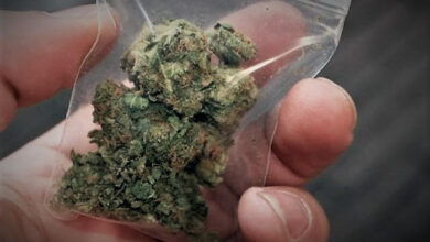 Kannavi xasis mikroposotita