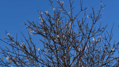 Στιγμιότυπο οθόνης 2023 01 19