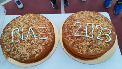 332142417 1253742125219137 8888205196933870178 n