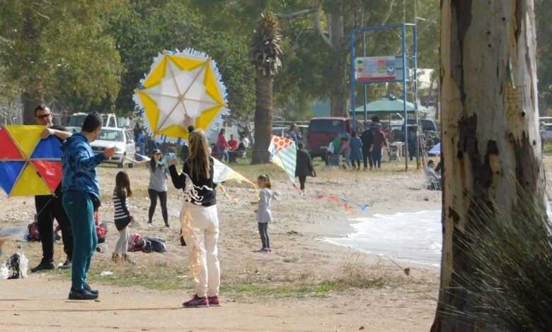 333613295 698943465348703 2096318323339537794 n