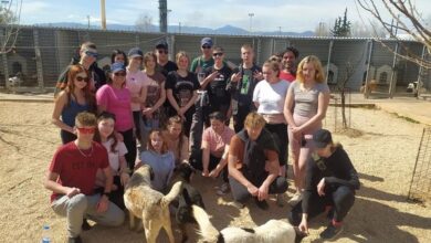 336643767 2336700343205361 2673414720078601868 n