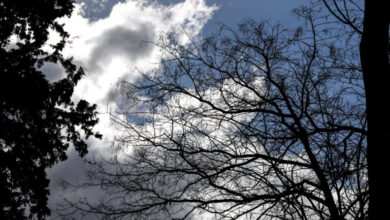 ΚΑΙΡΟΣ(ΚΟΝΤΑΡΙΝΗΣ ΓΙΩΡΓΟΣ EUROKINISSI)