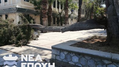 Ptwsi pefkou nafplio