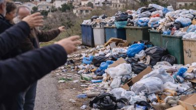 Araxnaio parapona gia tin eikona kathariotitas kata tin eortastiki periodo