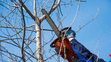 Nafplio ptwsi kladiou se pezo kai erwtimata gia tis ergasies kladematwn