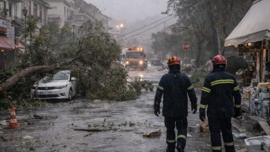 Nafplio kataggelies politwn gia ellipi parousia politikis prostasias tin wra twn problimatwn